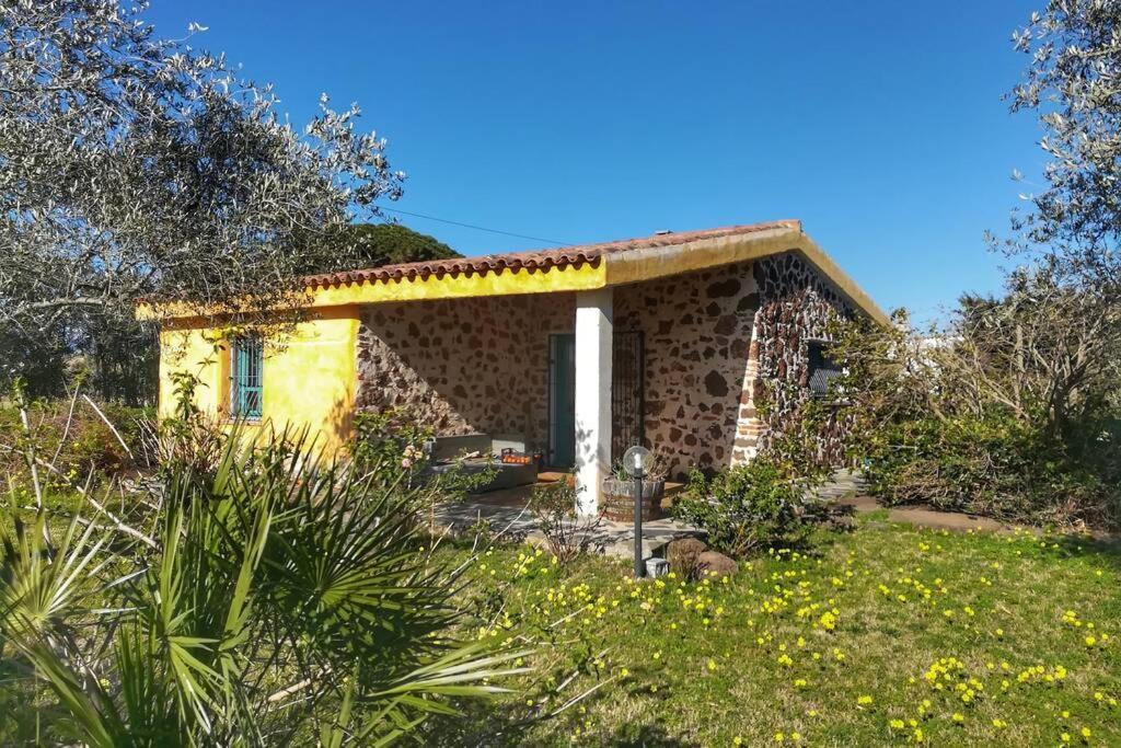 Vakantiehuis Casa Mesagustu